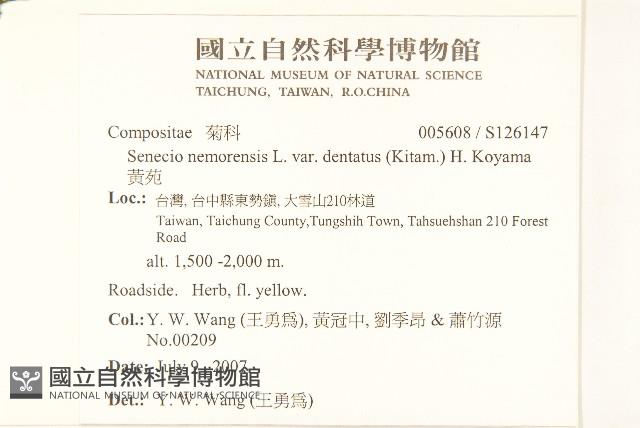 黃菀藏品圖，第2張