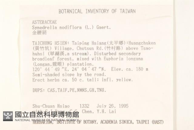 金腰箭藏品圖，第2張