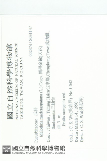 倒吊金鐘、天花藏品圖，第2張