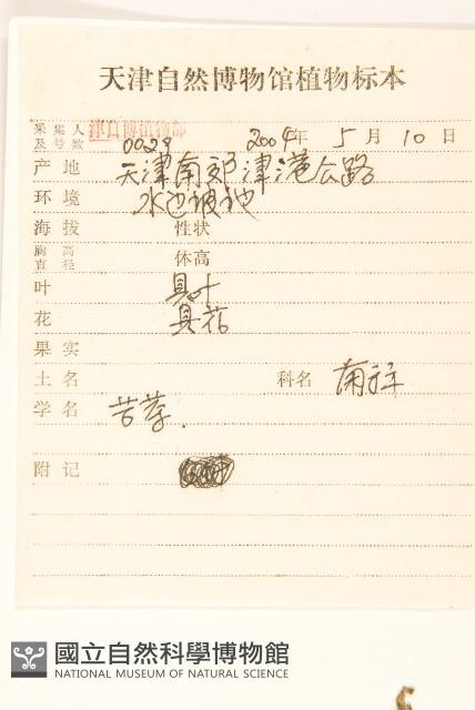 兔仔菜藏品圖，第2張