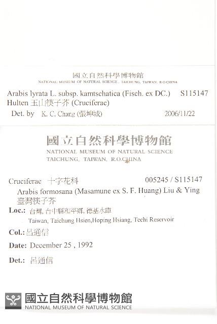 玉山筷子芥藏品圖，第2張