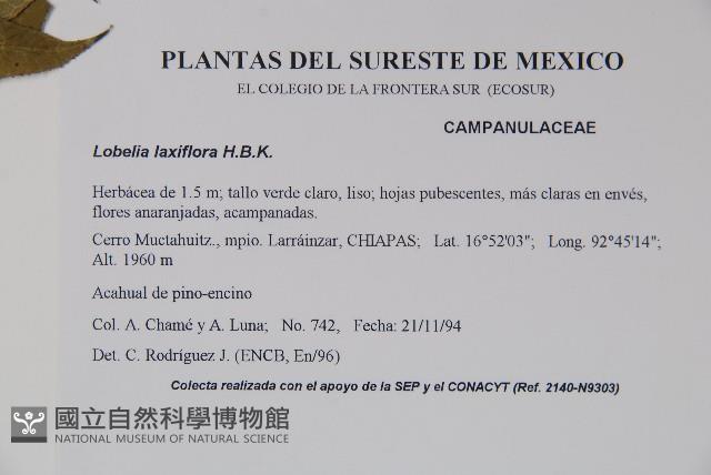 Accession Number:S035147 Collection Image, Figure 2, Total 2 Figures