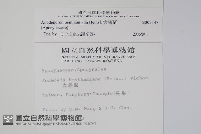 大錦蘭藏品圖，第2張