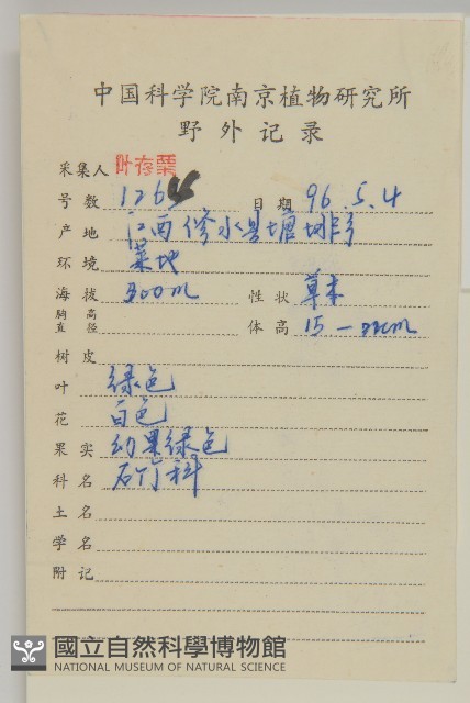 繁縷藏品圖，第2張