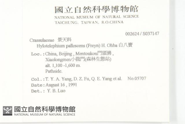 白八寶藏品圖，第2張