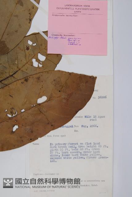 登錄號:S047147藏品圖，第2張