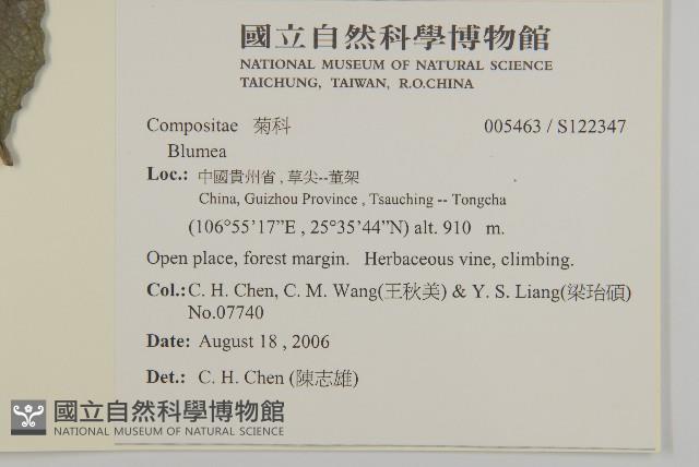 登錄號:S122347藏品圖，第2張