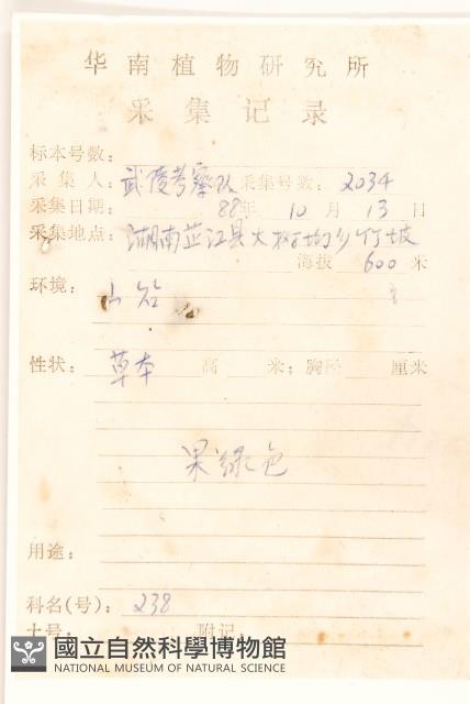 雞兒腸藏品圖，第2張