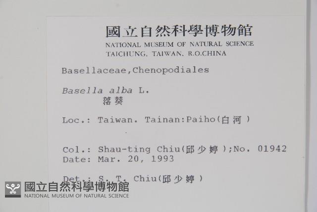 落葵藏品圖，第2張