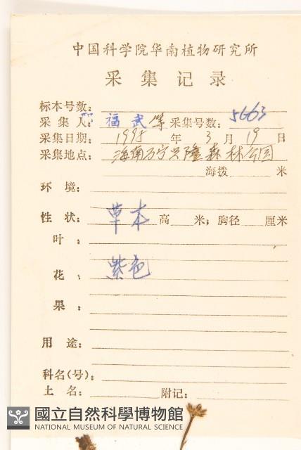 嶺南野菊藏品圖，第2張