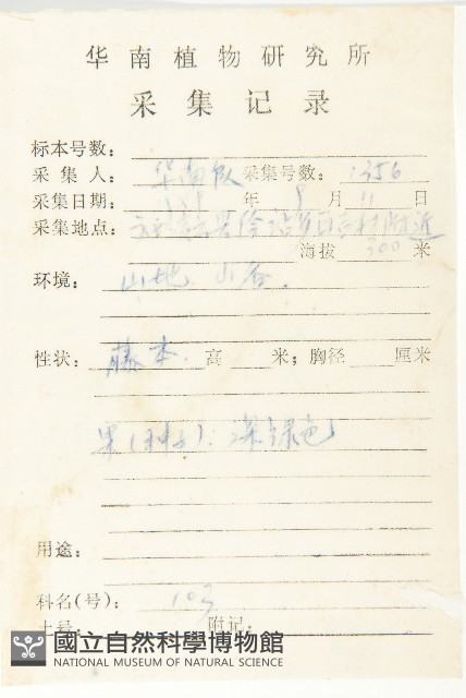 天花藏品圖，第2張