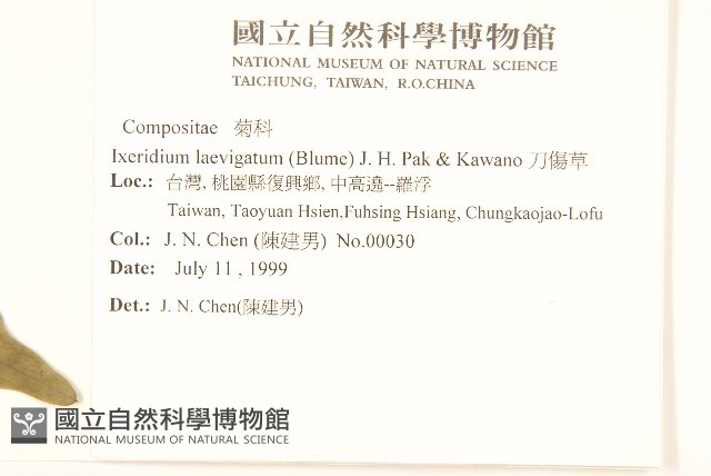 刀傷草藏品圖，第2張