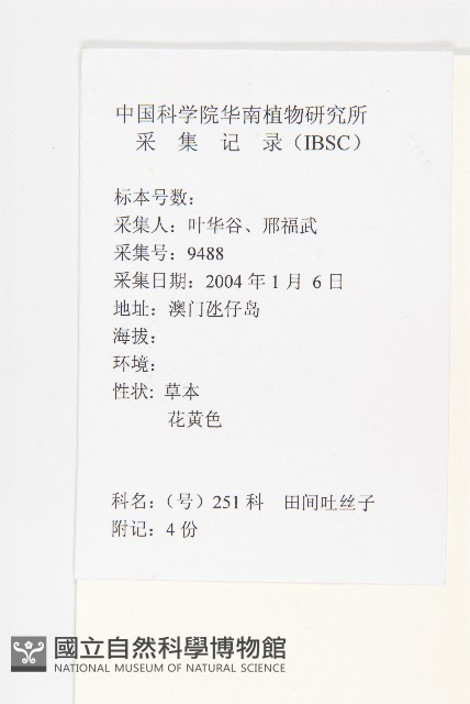中國菟絲子藏品圖，第2張