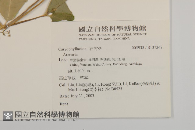 登錄號:S137347藏品圖，第2張