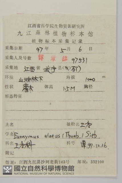 衛矛藏品圖，第2張