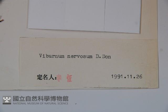 大花莢迷藏品圖，第2張