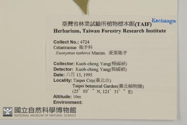 菱葉衛矛藏品圖，第2張