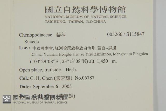 登錄號:S115847藏品圖，第2張