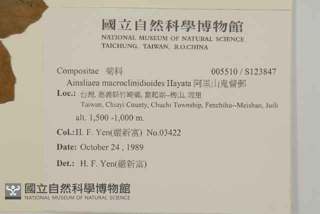 阿里山鬼督郵藏品圖，第2張