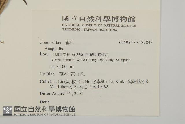 登錄號:S137847藏品圖，第2張