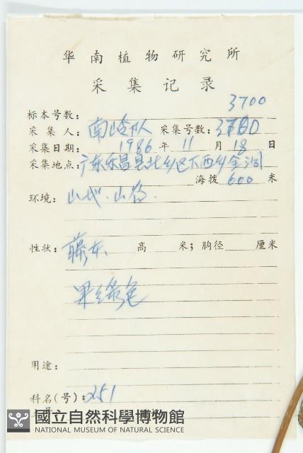 飛蛾藤藏品圖，第2張