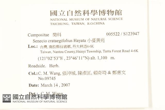 小蔓黃苑藏品圖，第2張