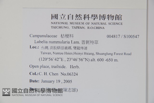普刺特草藏品圖，第2張