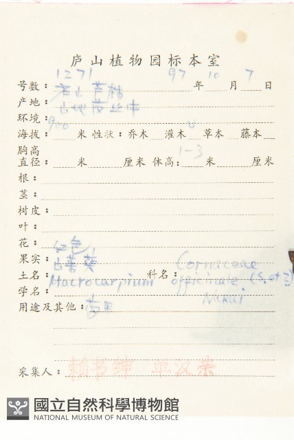 山茱萸藏品圖，第2張
