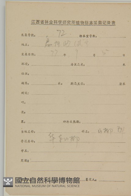 華東山柳藏品圖，第2張
