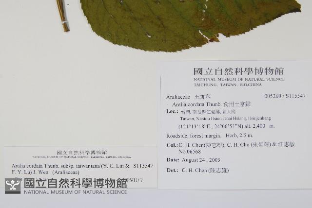 登錄號:S115547藏品圖，第2張