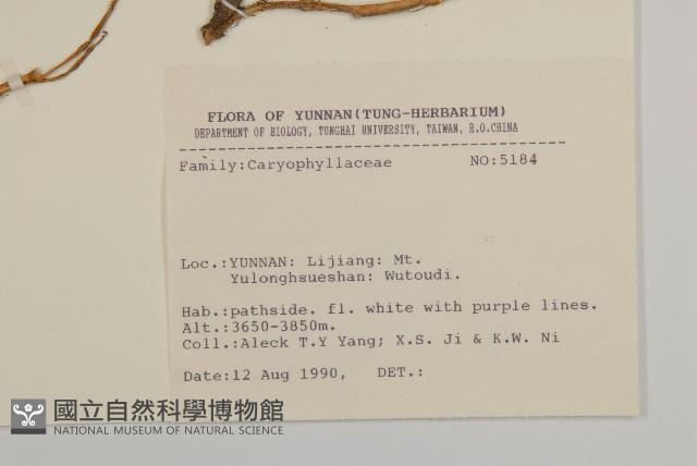 登錄號:S031677藏品圖，第2張