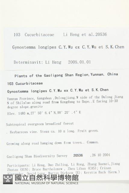 長葉絞股藍藏品圖，第2張