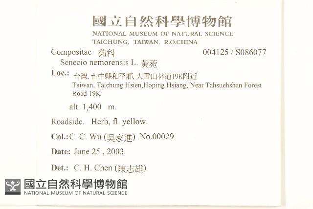 黃菀藏品圖，第2張