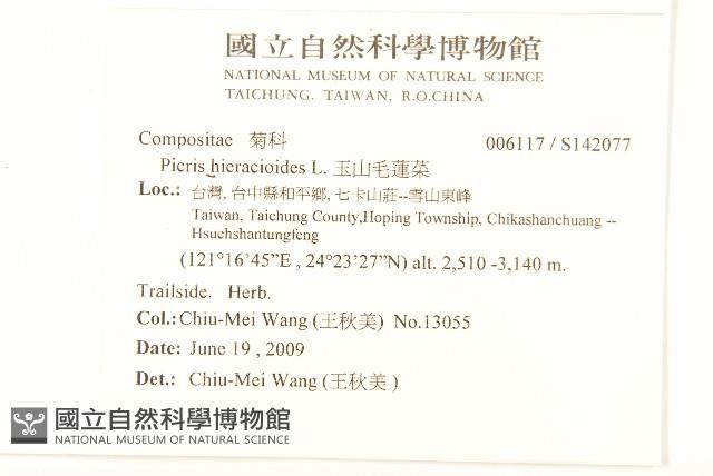 毛蓮菜藏品圖，第2張