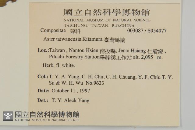 臺灣馬蘭藏品圖，第2張