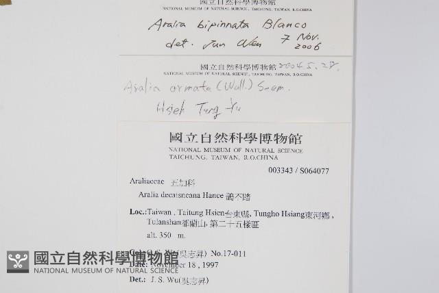 裡白蔥木藏品圖，第2張