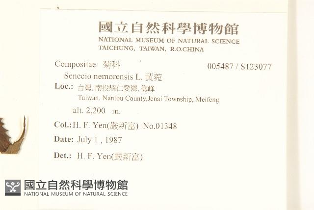 黃菀藏品圖，第2張