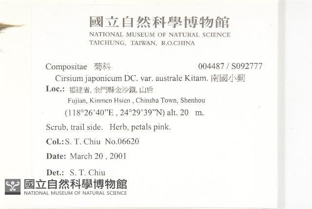 南國小薊藏品圖，第2張