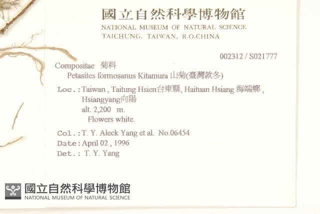 臺灣款冬藏品圖，第2張