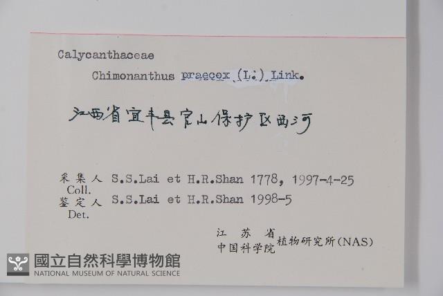 臘梅藏品圖，第2張