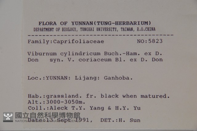 水紅木藏品圖，第2張