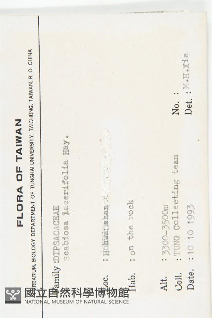 玉山山蘿蔔藏品圖，第2張