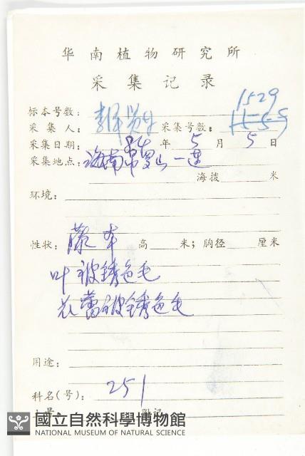 海南麻辣仔藤藏品圖，第2張