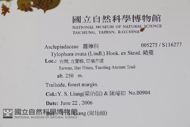 鷗蔓藏品圖，第2張