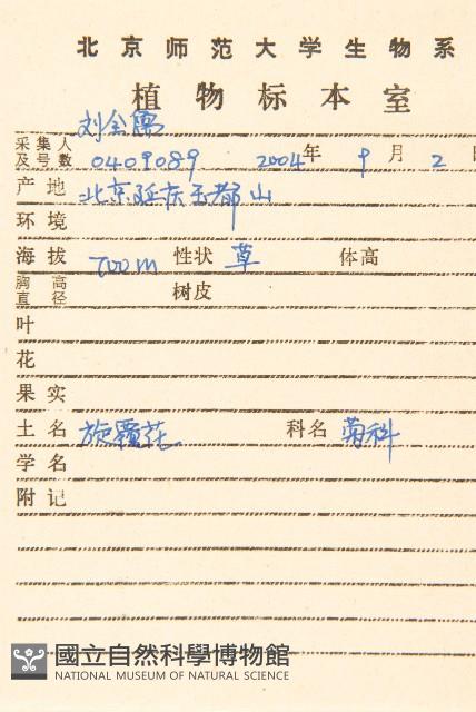 旋覆花藏品圖，第2張