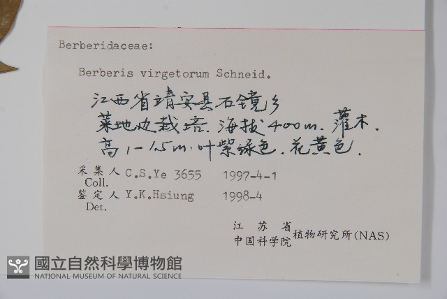 廬山小檗藏品圖，第2張