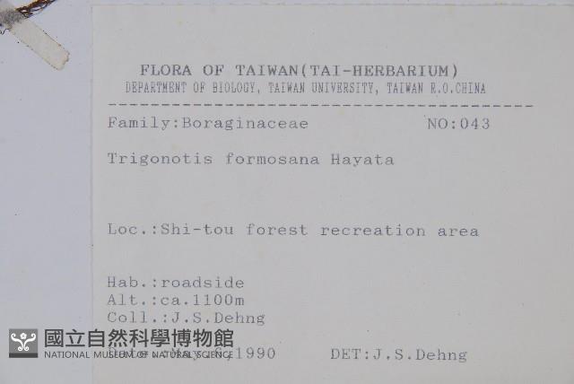 臺灣附地草藏品圖，第2張