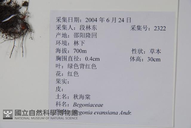 Accession Number:S104277 Collection Image, Figure 2, Total 2 Figures