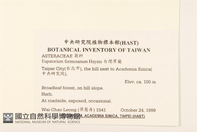 臺灣澤蘭藏品圖，第2張