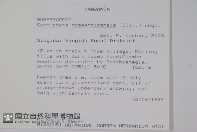 登錄號:S094277藏品圖，第2張